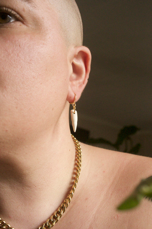 Alligator mississippiensis Loosie Tooth - gold