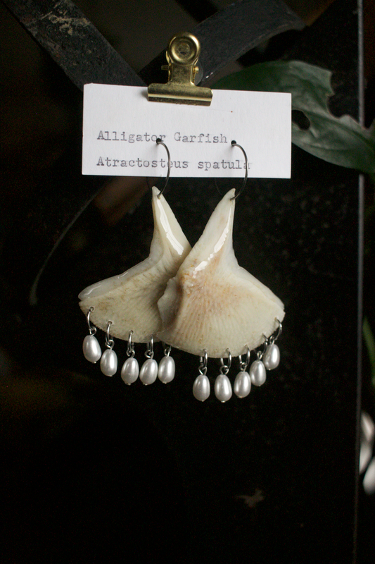 Atractosteus spatula Bead Dangles