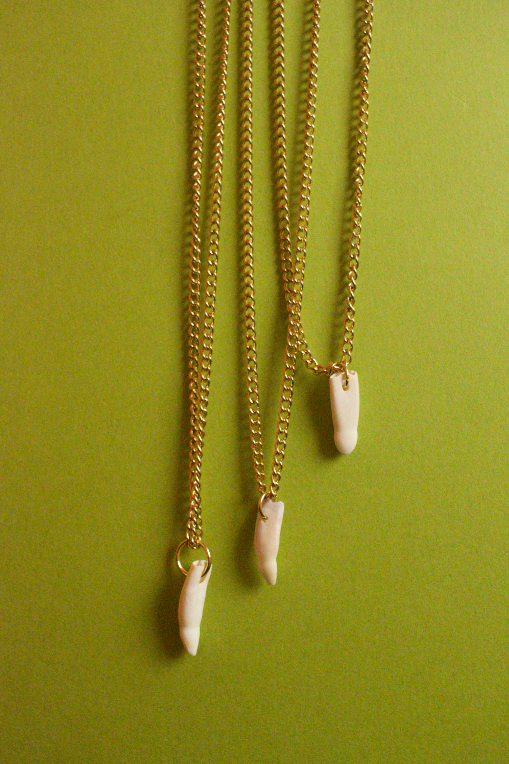 Alligator mississippiensis Tooth Necklace