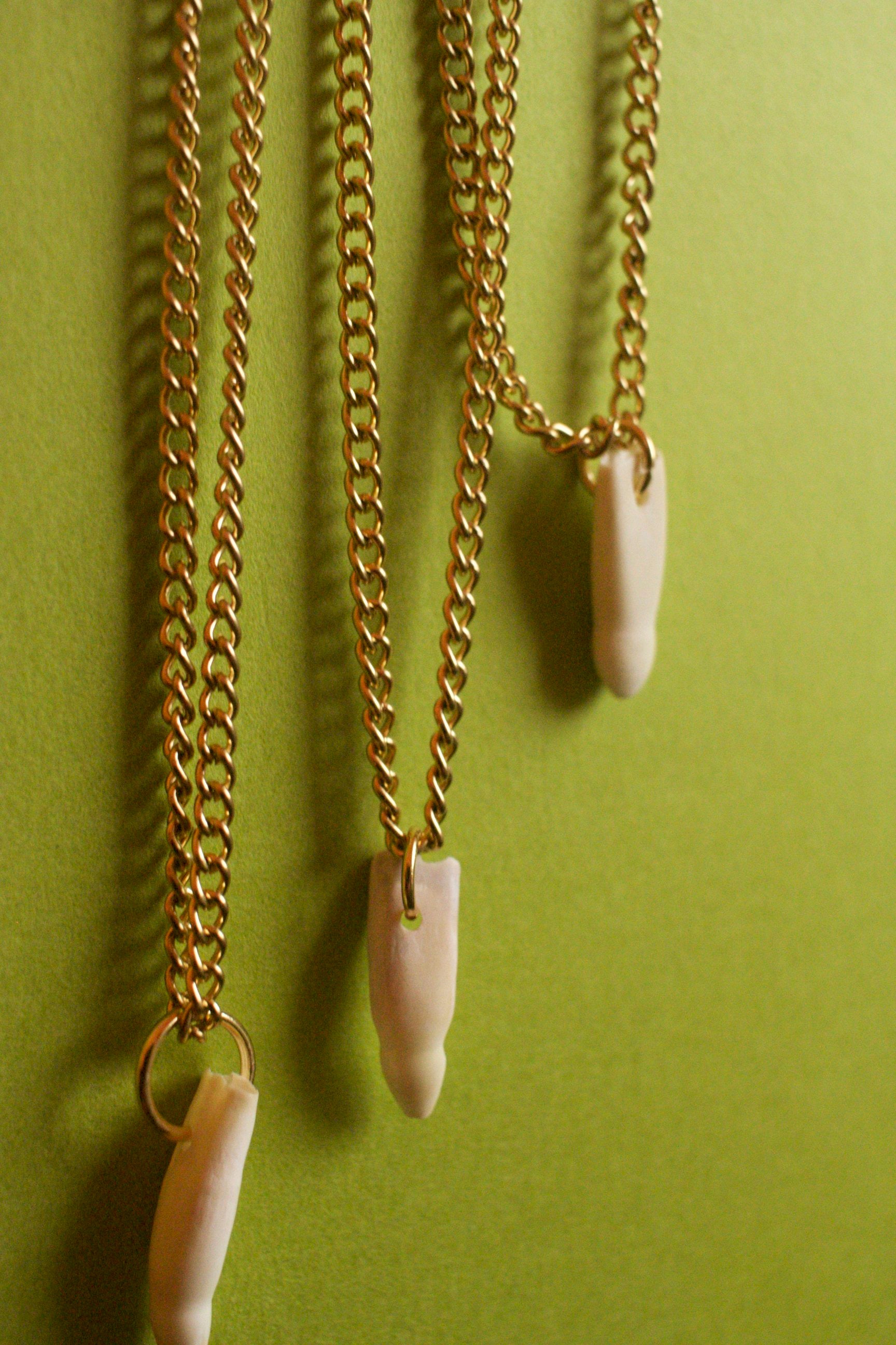 Alligator mississippiensis Tooth Necklace