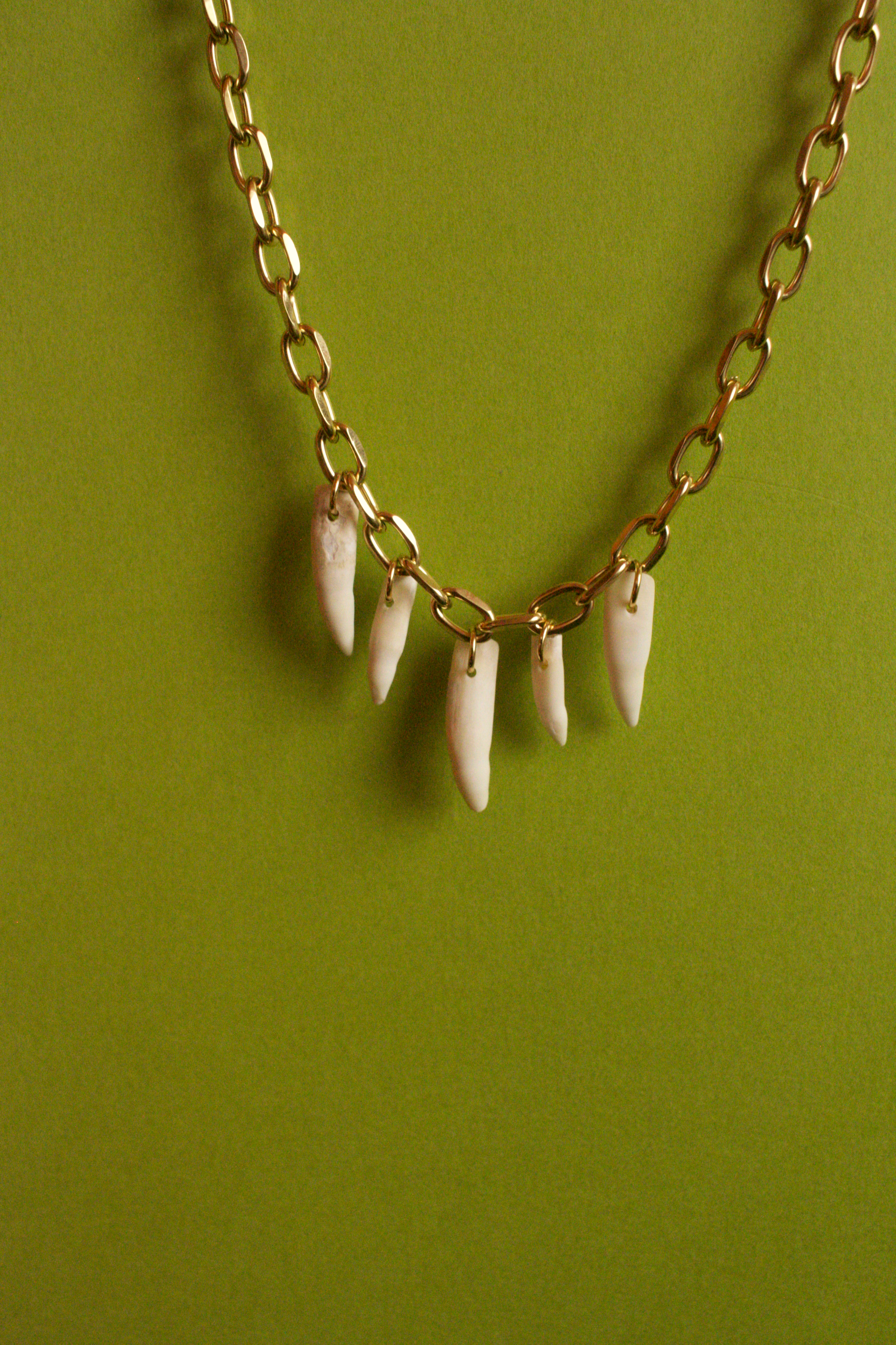 Alligator mississippiensis Charm Necklace