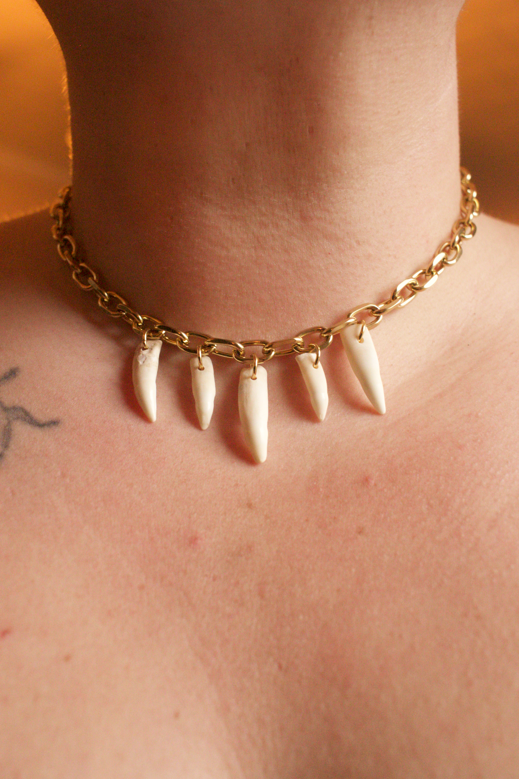 Alligator mississippiensis Charm Necklace